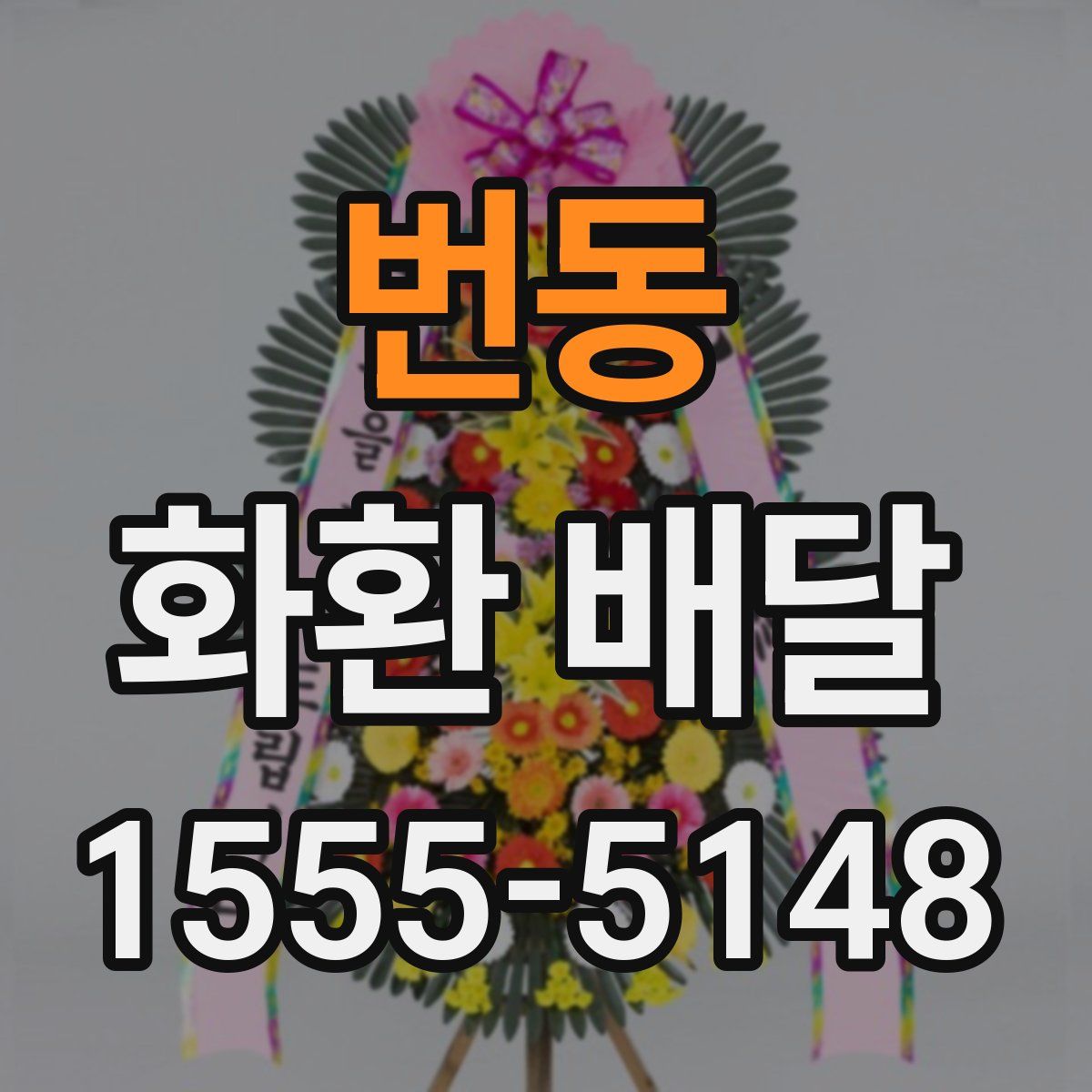 번동 화환 배달