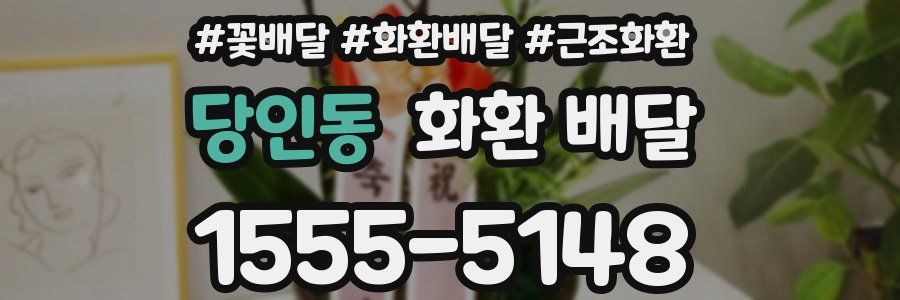 당인동 화환 배달