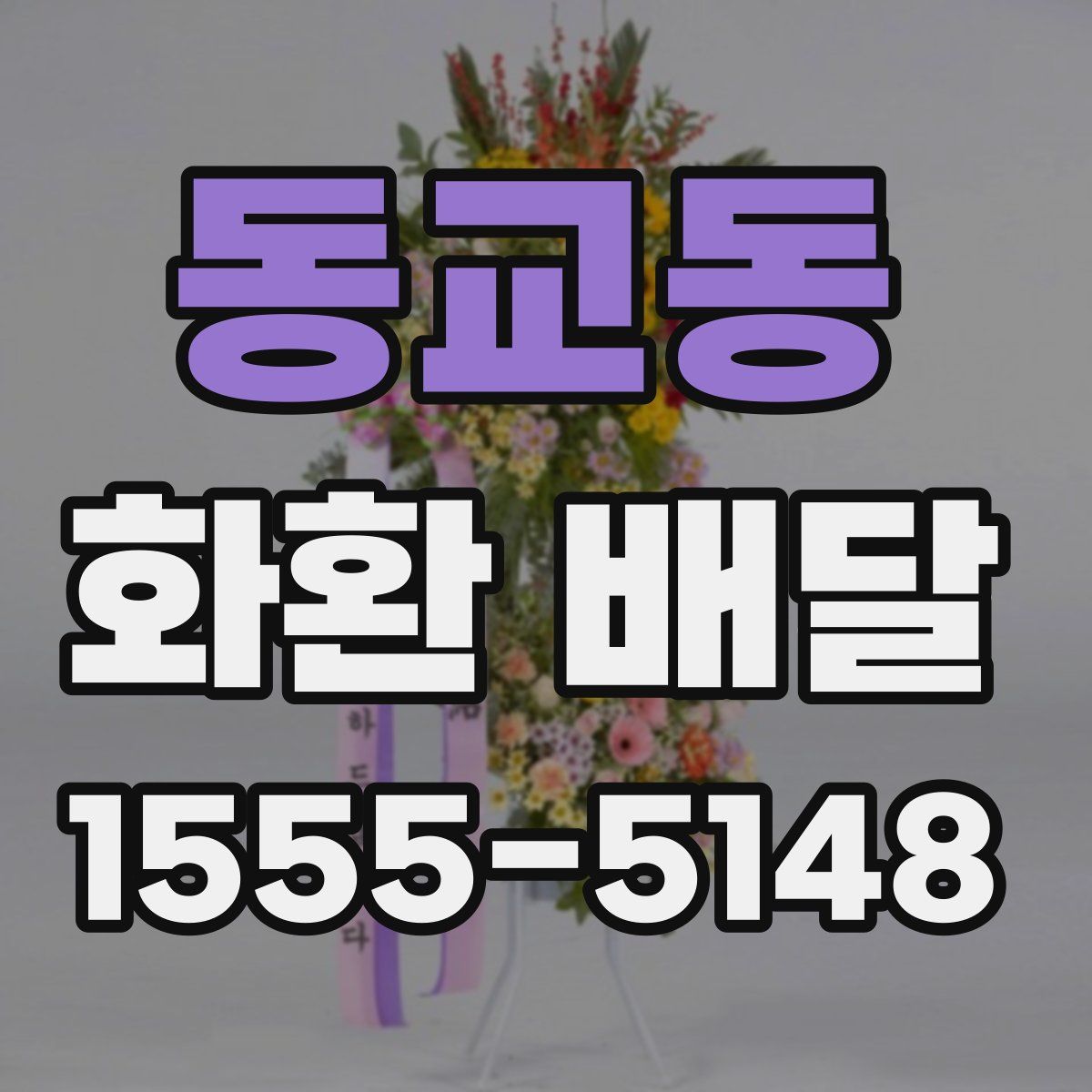 동교동 화환 배달