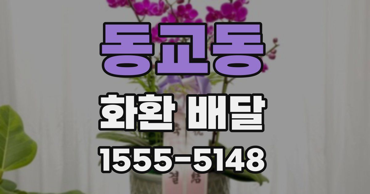 동교동 화환 배달