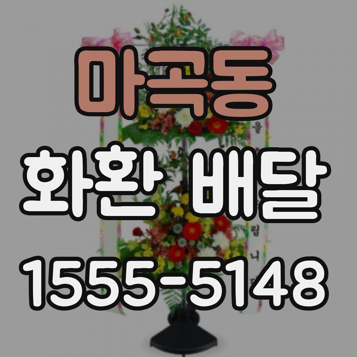 마곡동 화환 배달