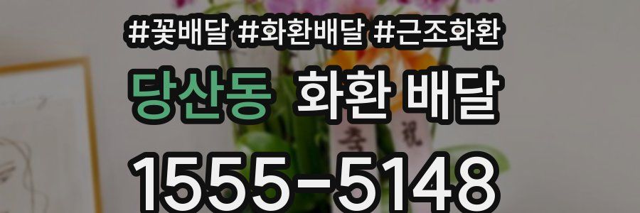 당산동 화환 배달