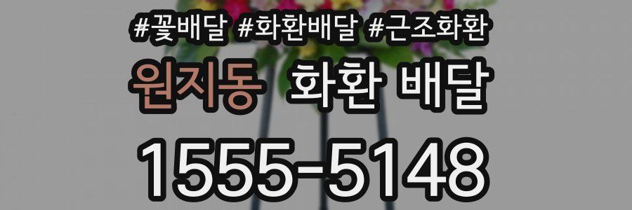 원지동 화환 배달