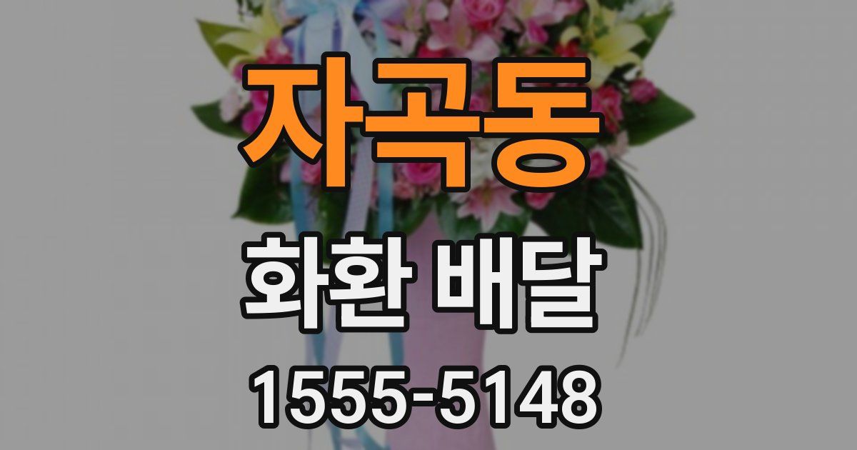 자곡동 화환 배달