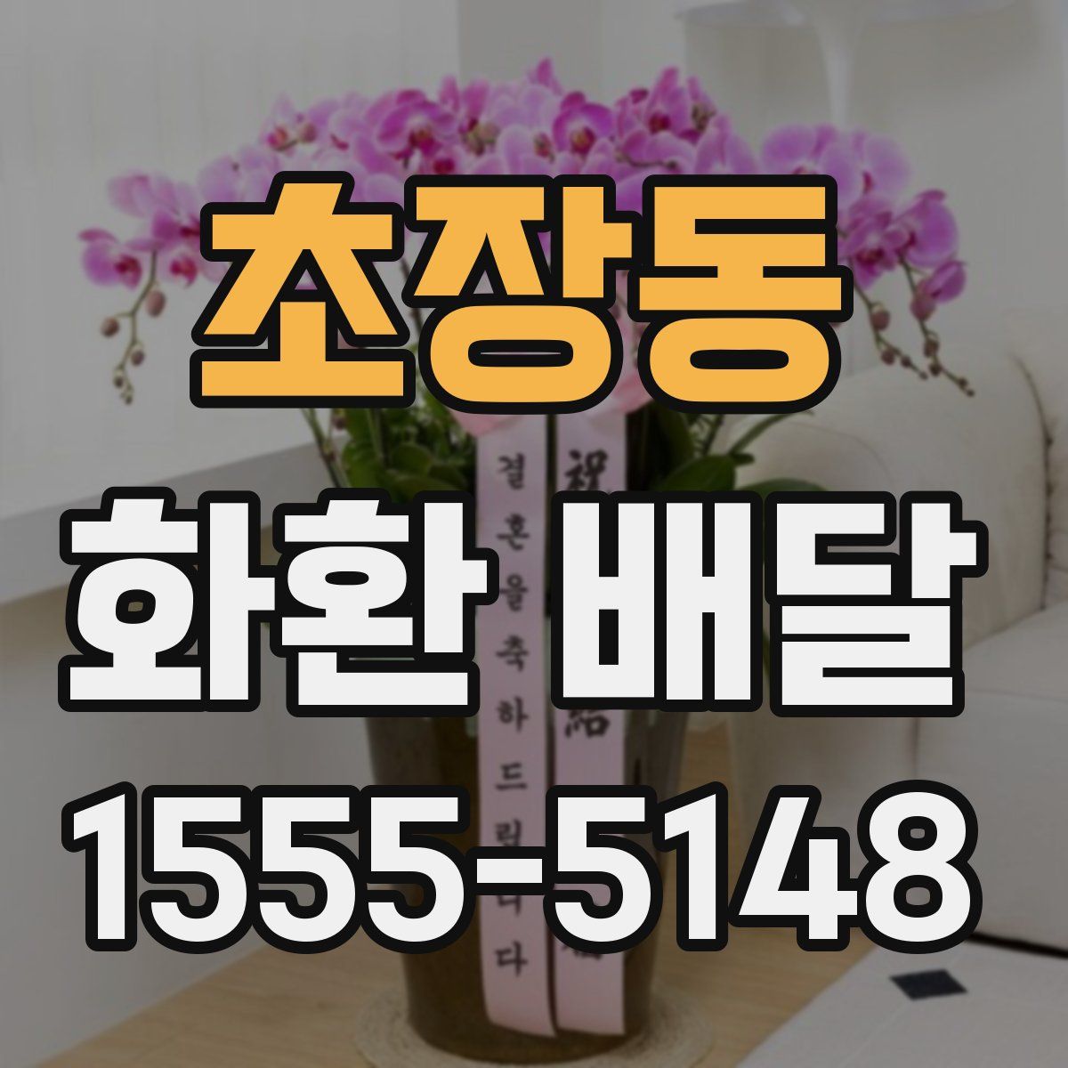 초장동 화환 배달