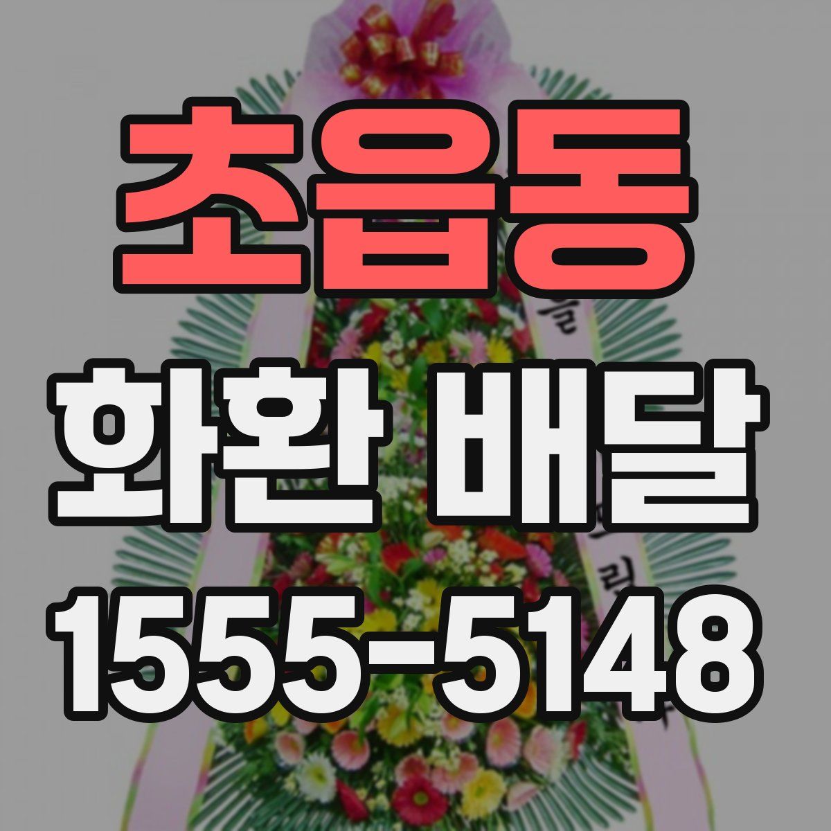 초읍동 화환 배달