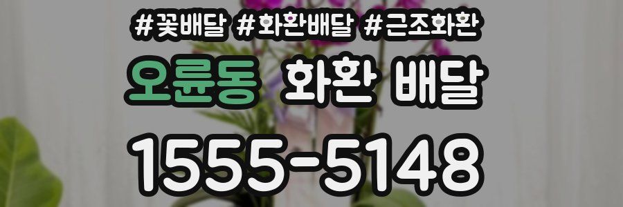 오륜동 화환 배달