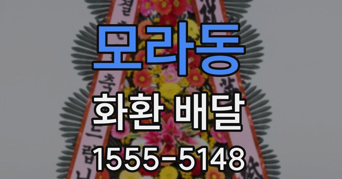모라동 화환 배달