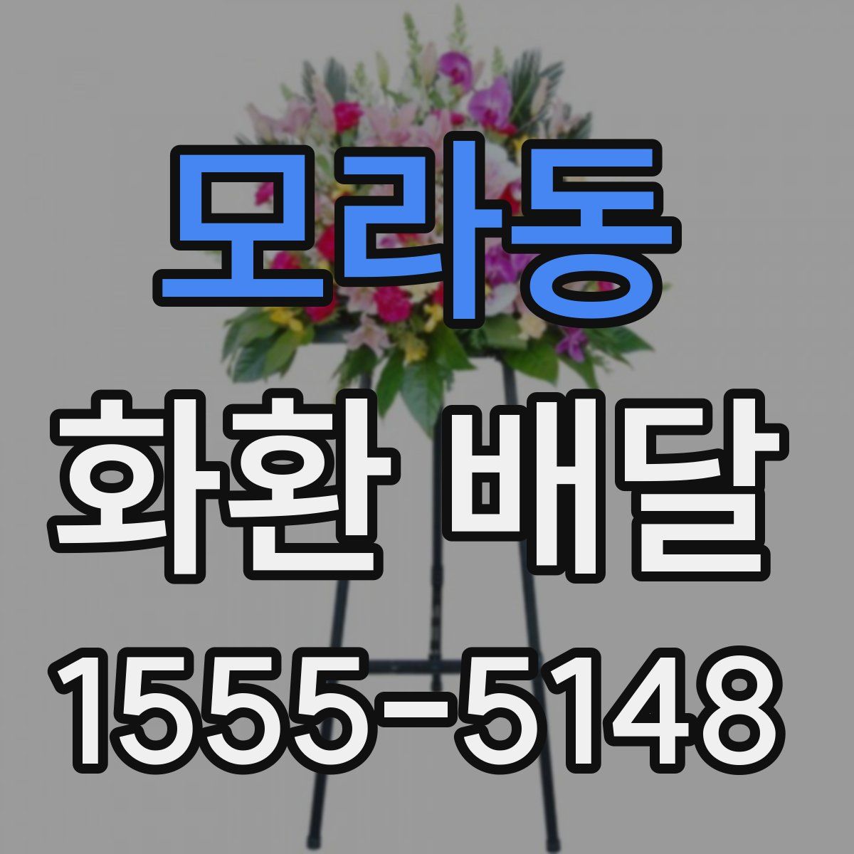 모라동 화환 배달