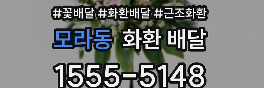 모라동 화환 배달
