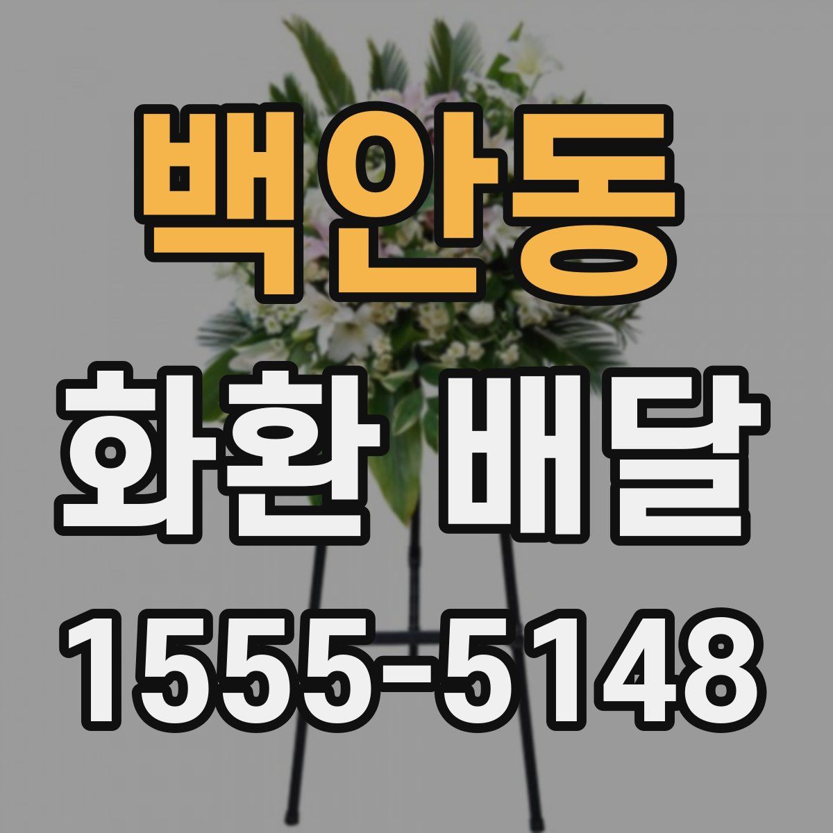 백안동 화환 배달