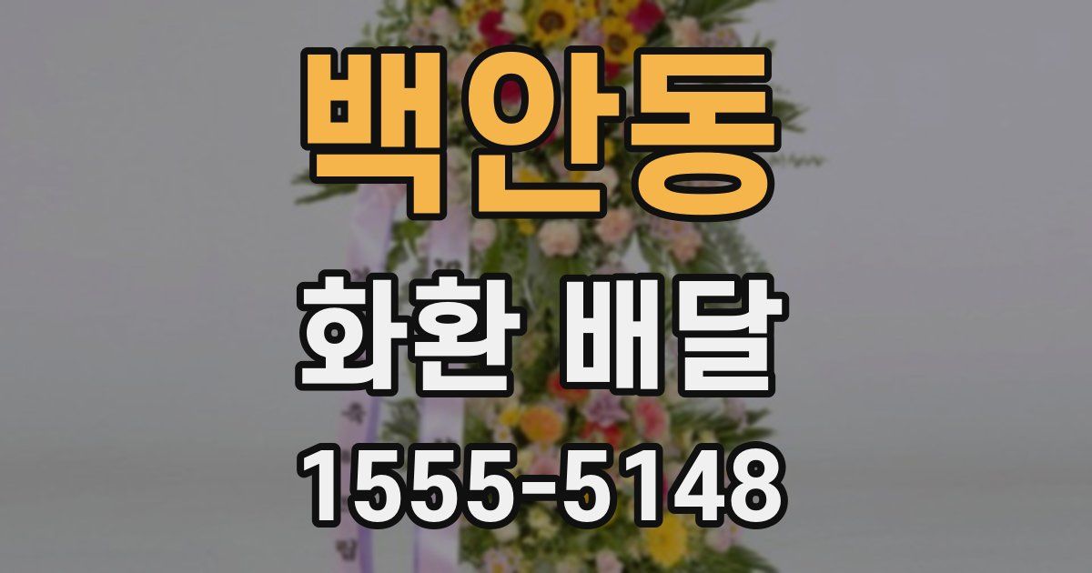 백안동 화환 배달