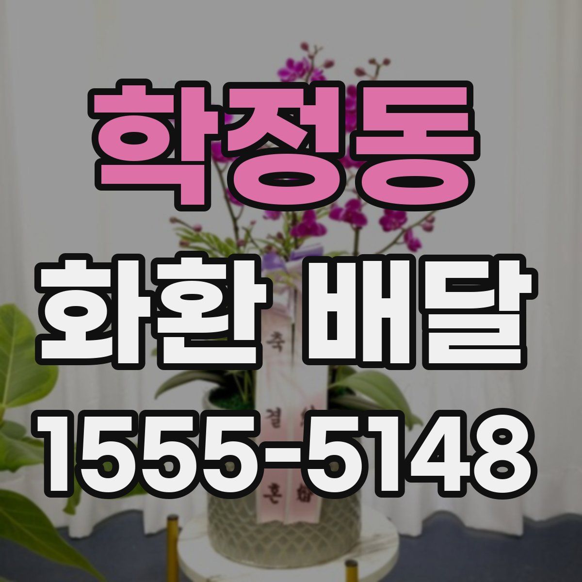 학정동 화환 배달