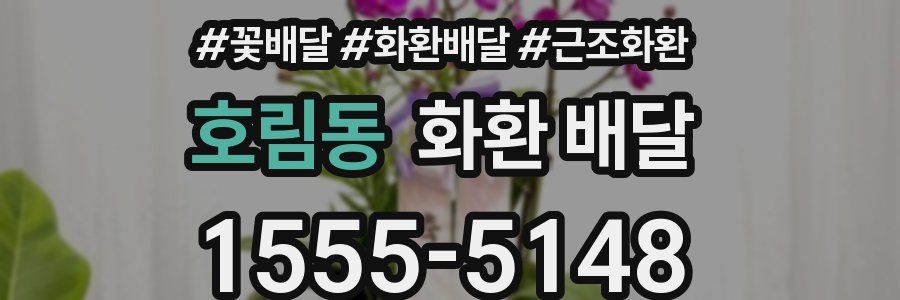 호림동 화환 배달