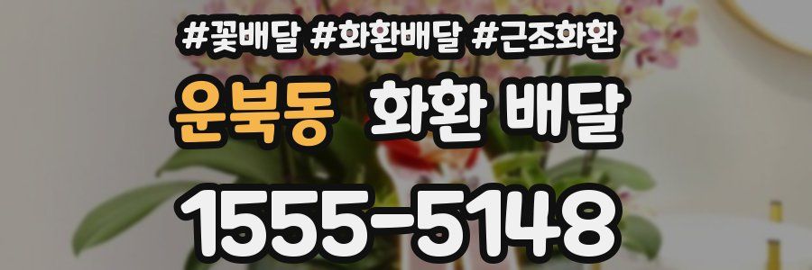 운북동 화환 배달