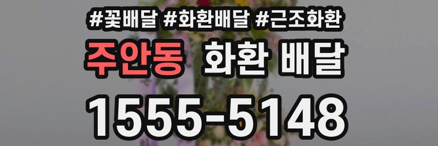 주안동 화환 배달