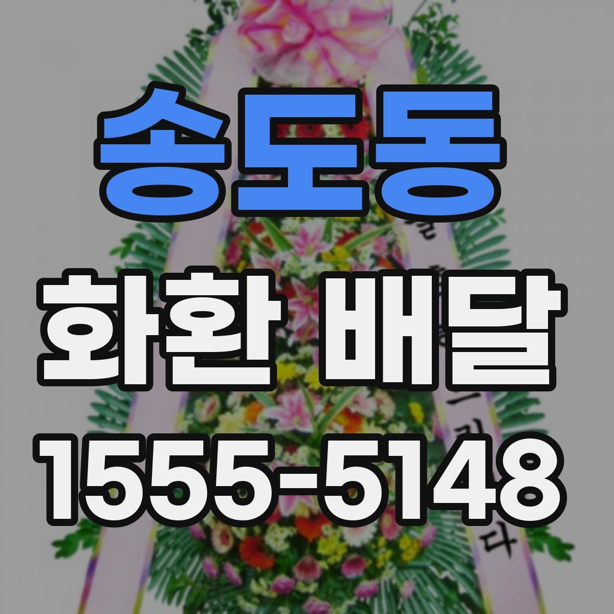 송도동 화환 배달