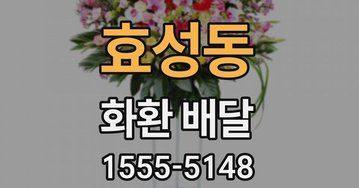 효성동 화환 배달