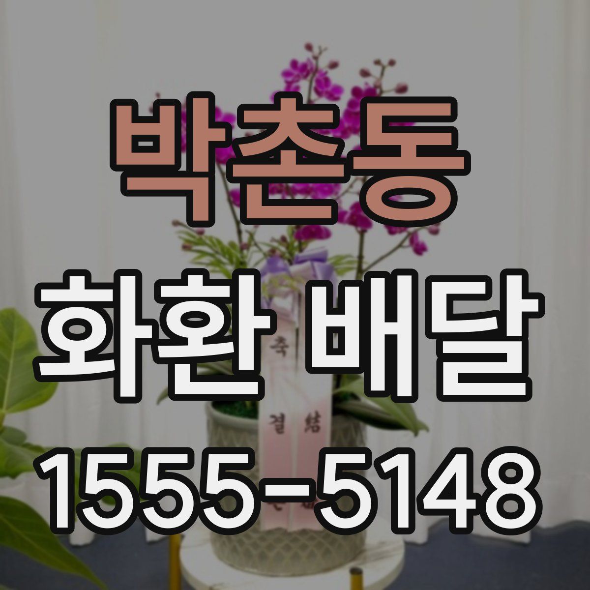 박촌동 화환 배달