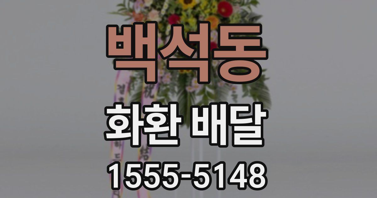 백석동 화환 배달