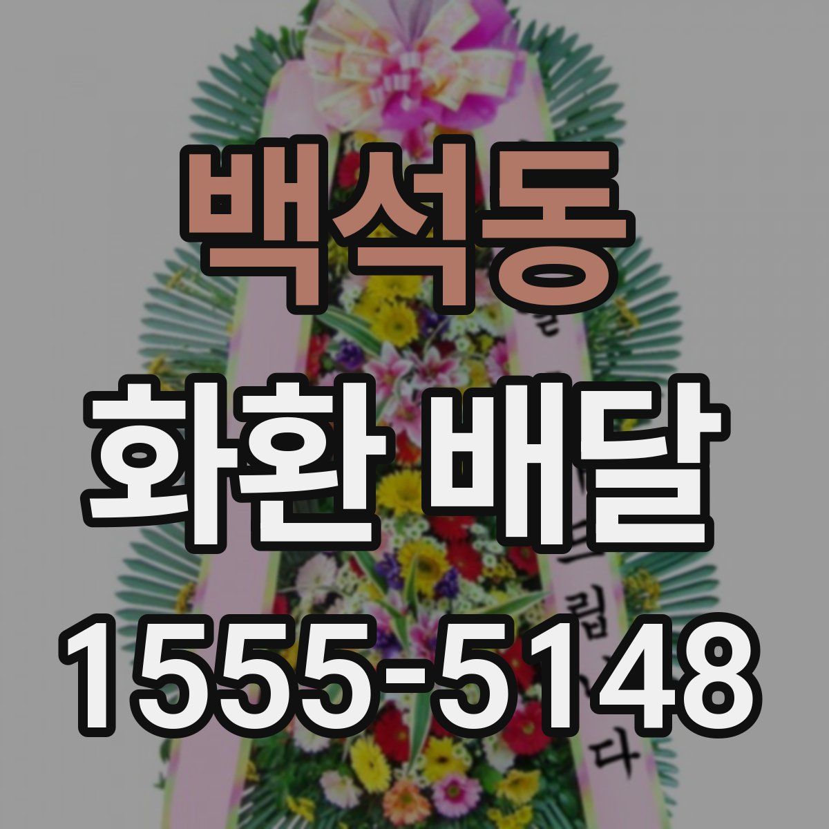백석동 화환 배달