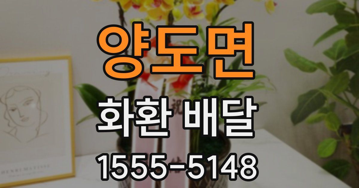 양도면 화환 배달