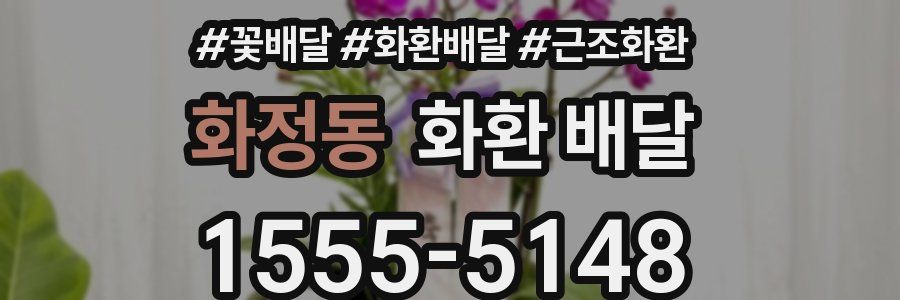 화정동 화환 배달