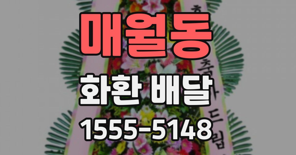 매월동 화환 배달