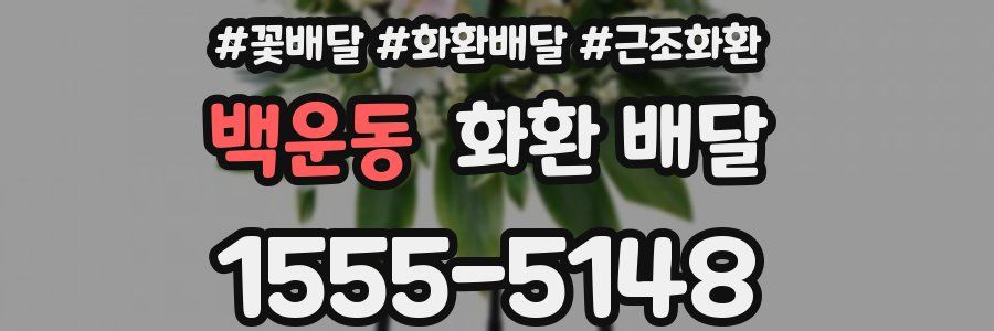 백운동 화환 배달