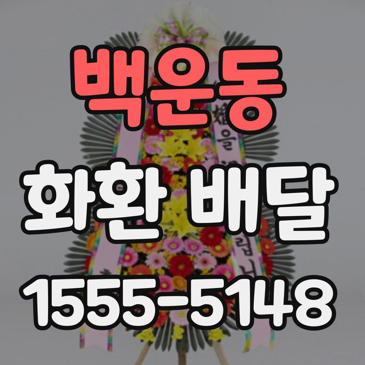 백운동 화환 배달