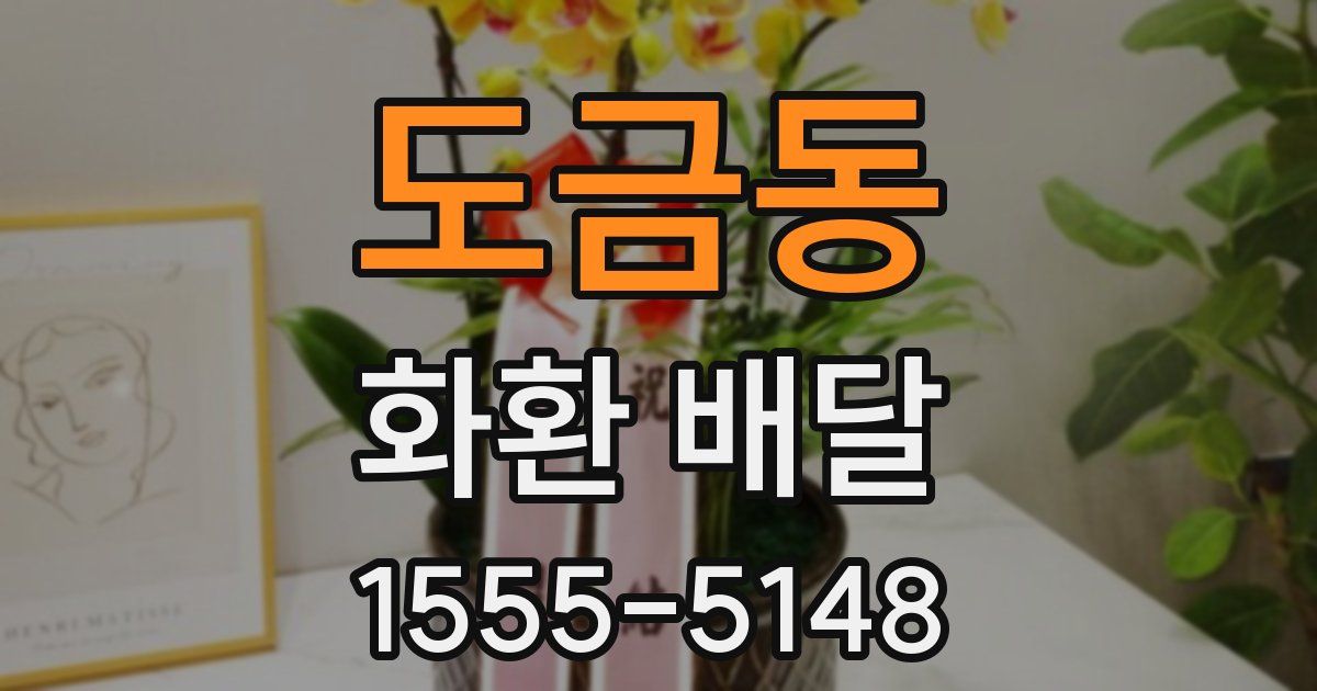 도금동 화환 배달