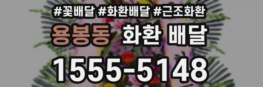 용봉동 화환 배달