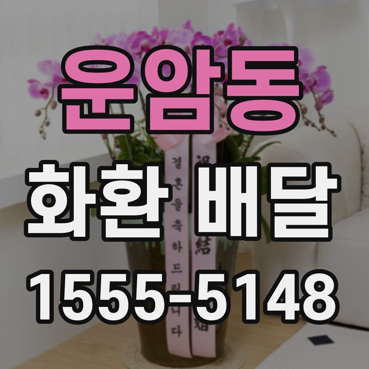 운암동 화환 배달
