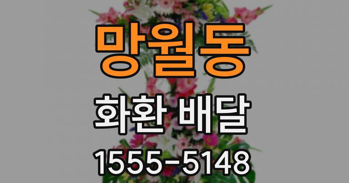 망월동 화환 배달
