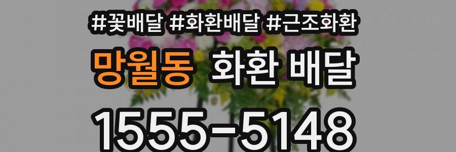 망월동 화환 배달