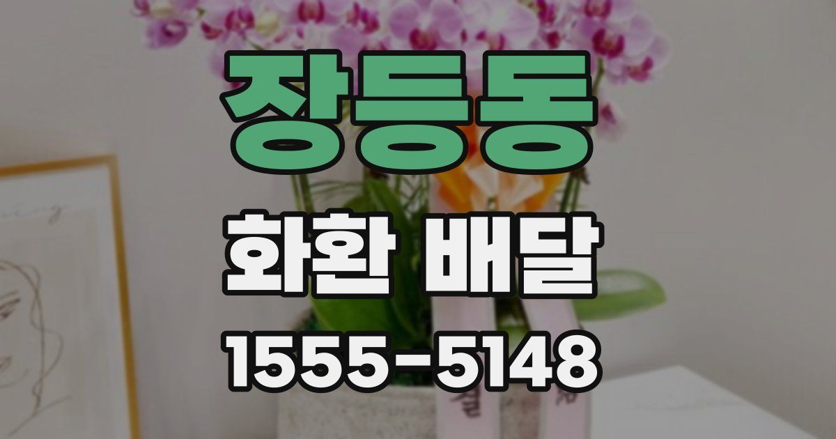 장등동 화환 배달