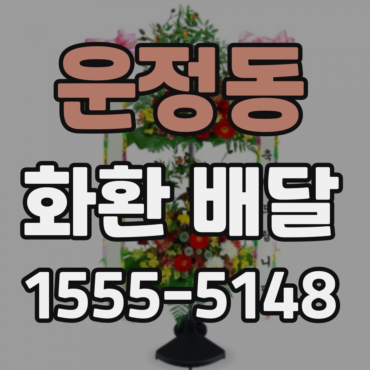 운정동 화환 배달