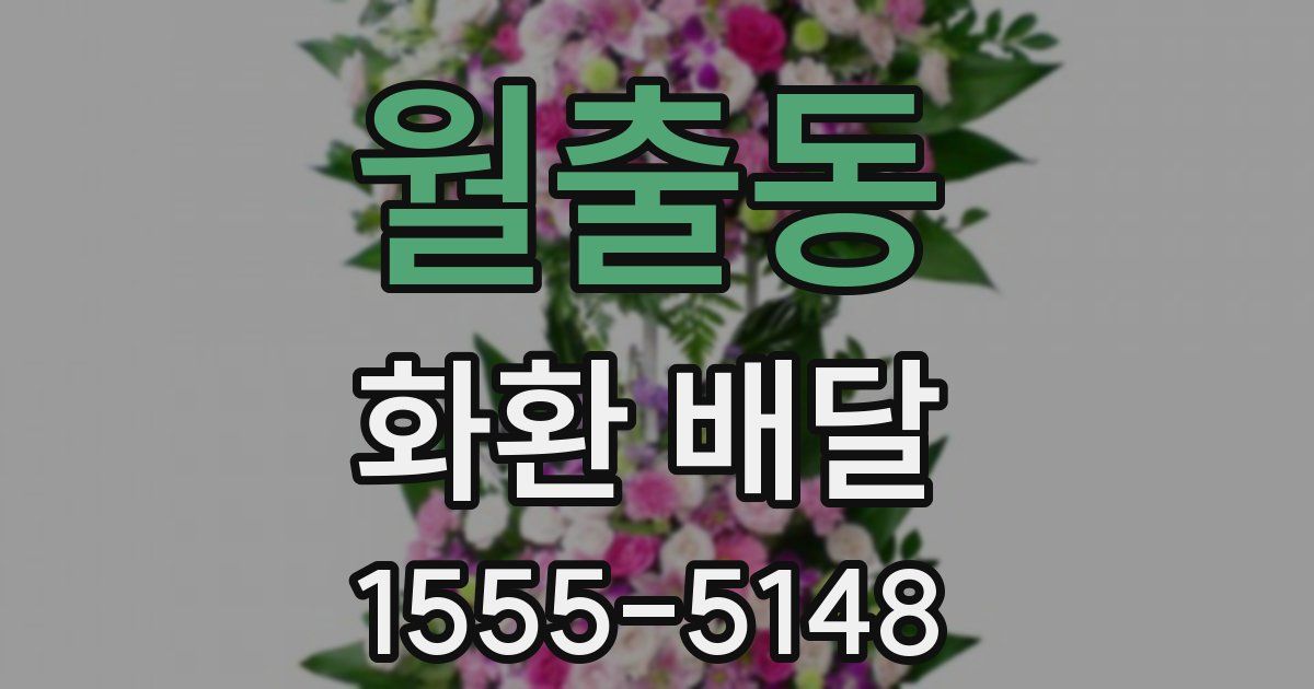 월출동 화환 배달