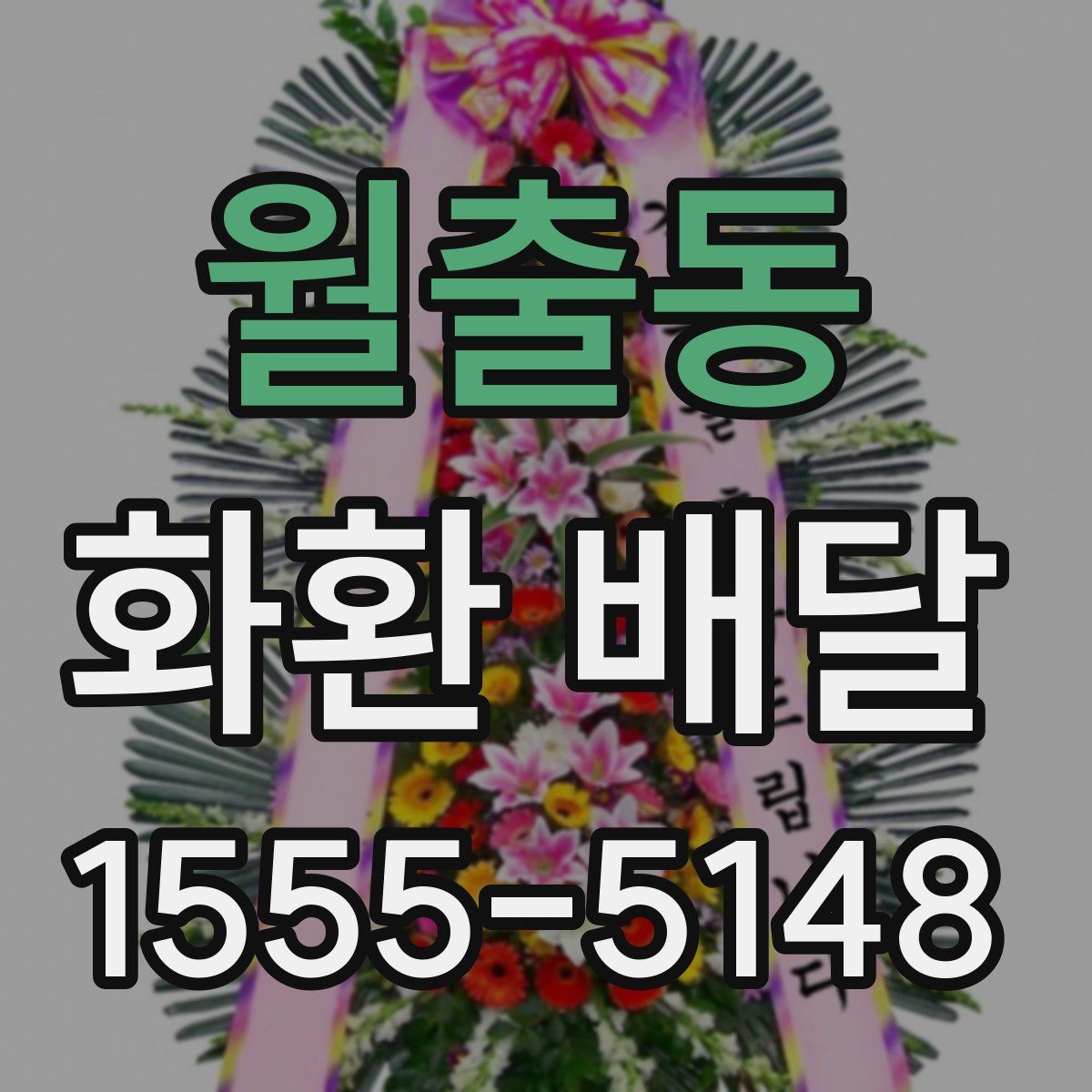 월출동 화환 배달