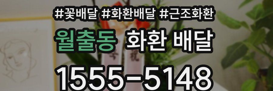 월출동 화환 배달