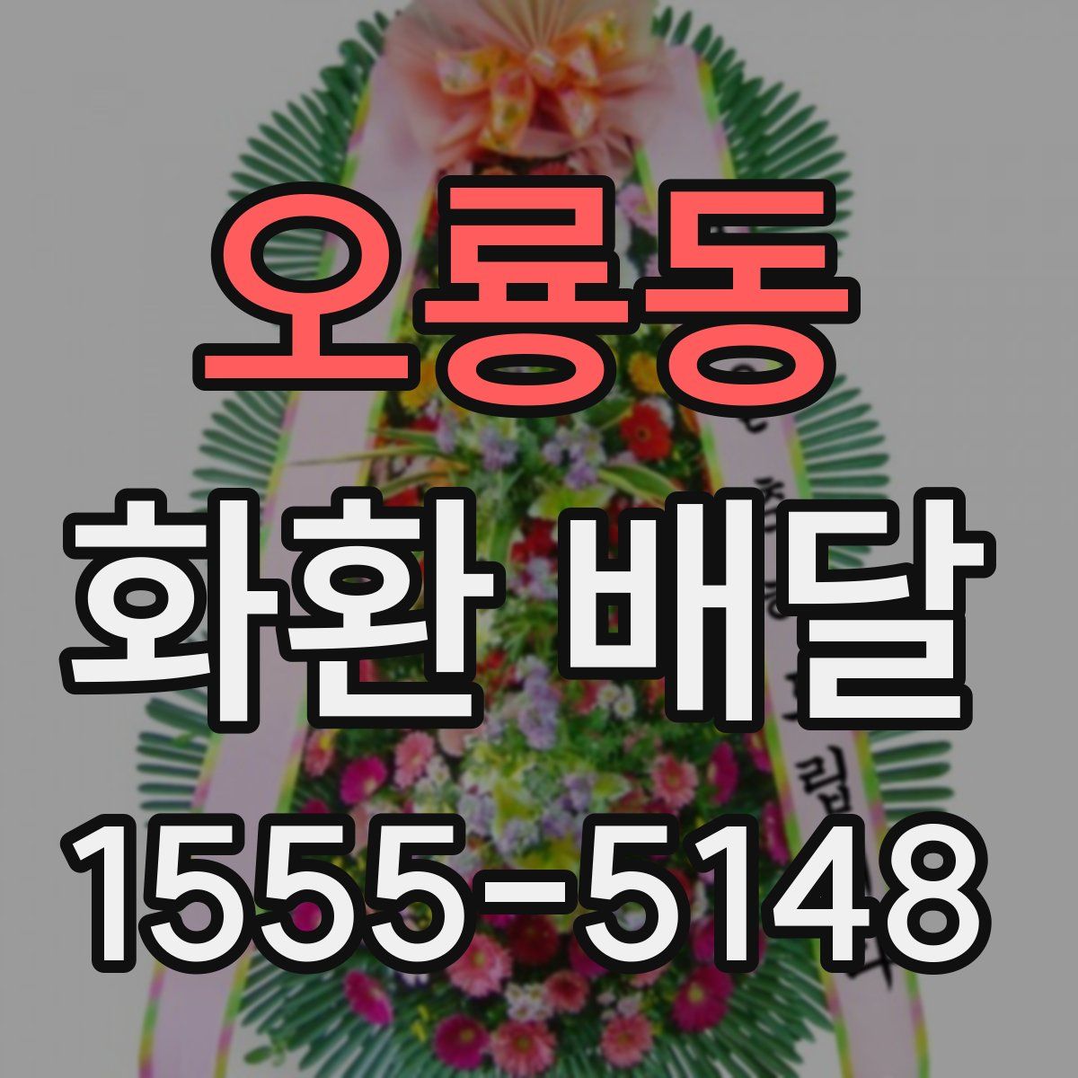 오룡동 화환 배달