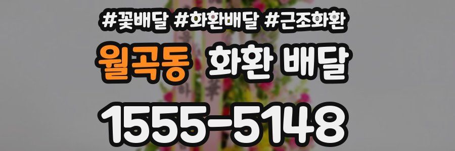월곡동 화환 배달