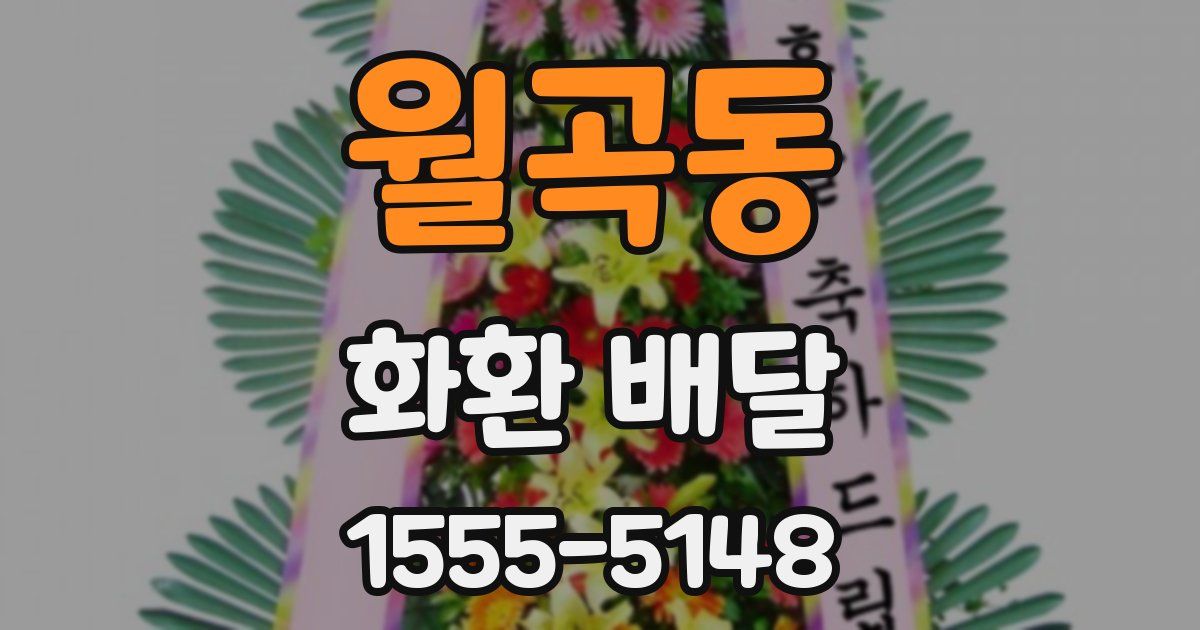 월곡동 화환 배달