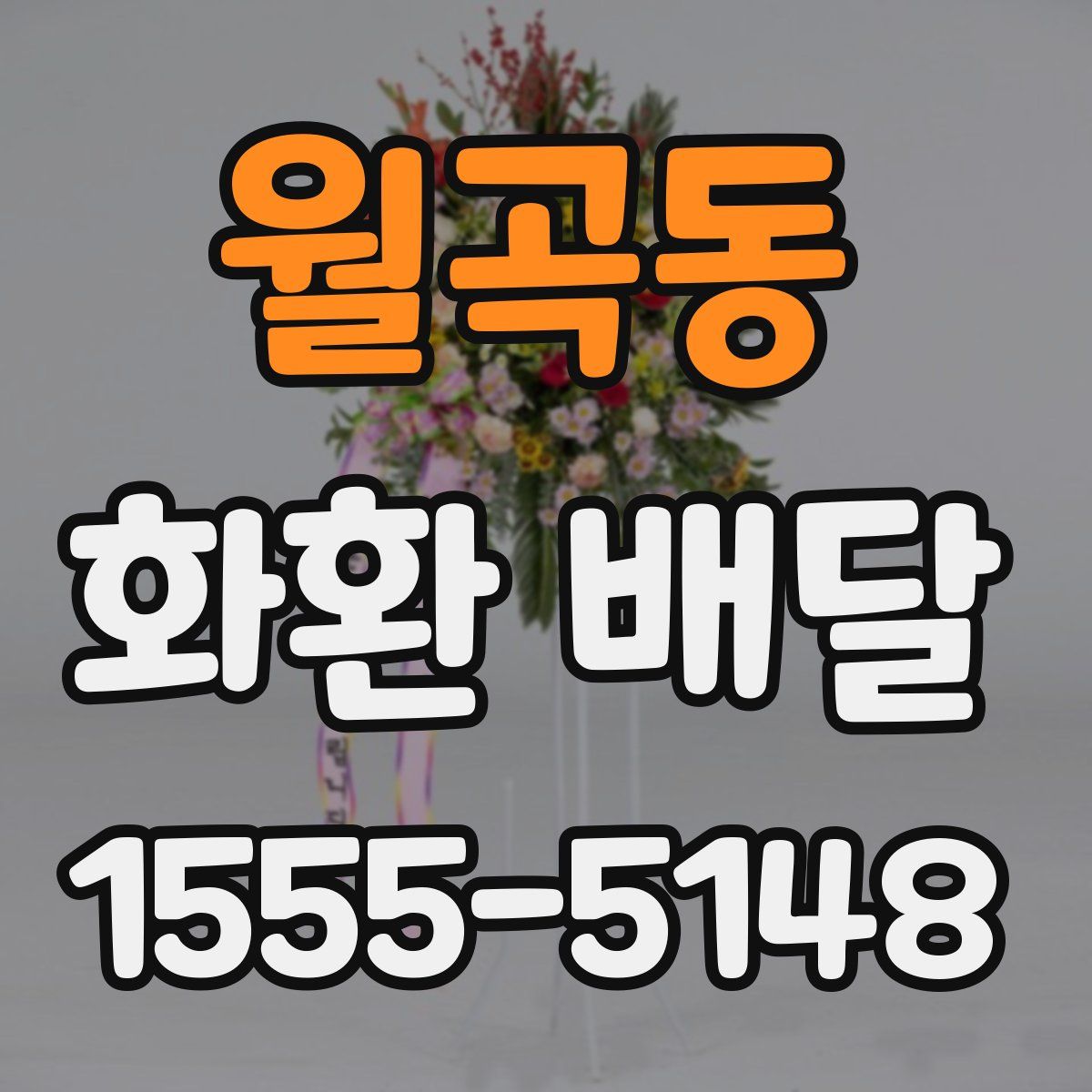 월곡동 화환 배달