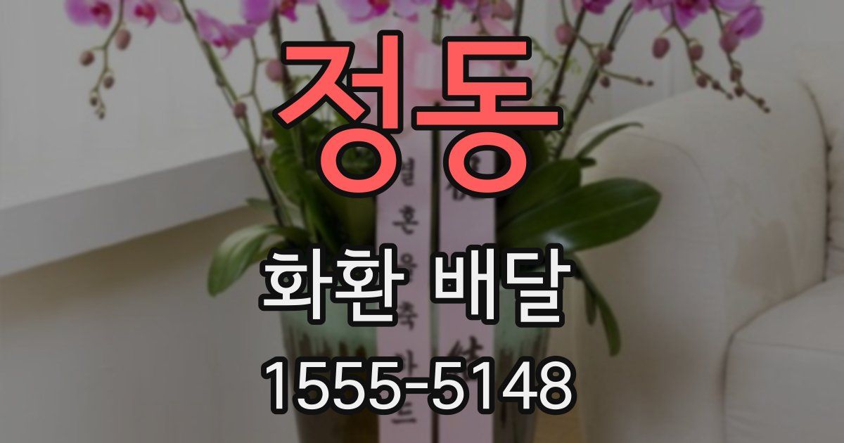 정동 화환 배달