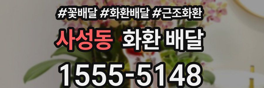 사성동 화환 배달