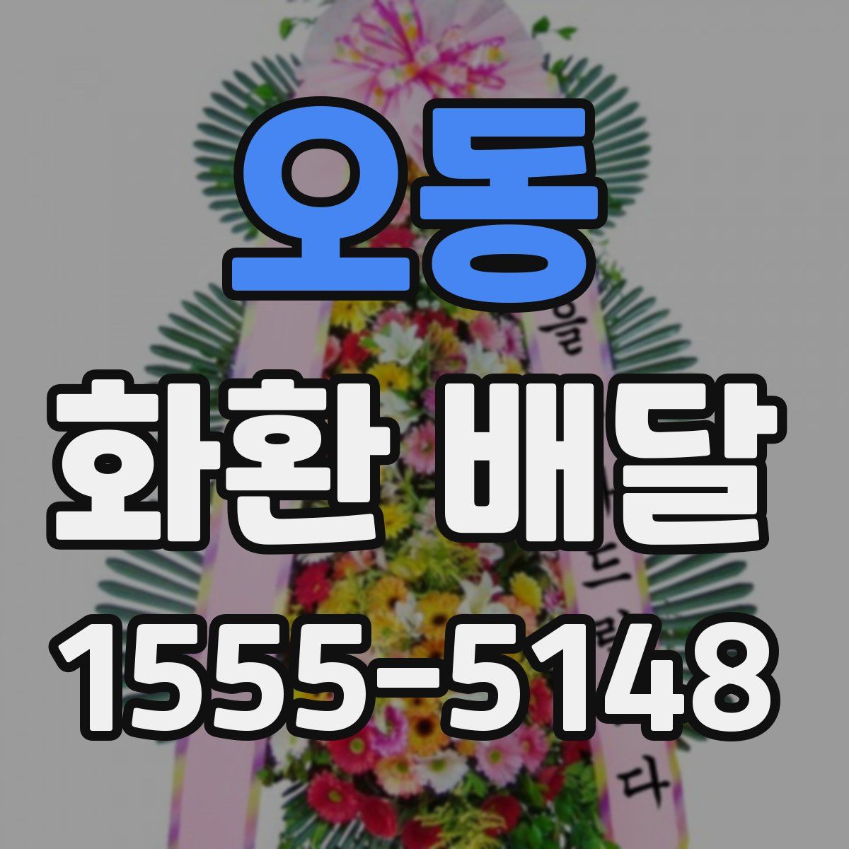 오동 화환 배달