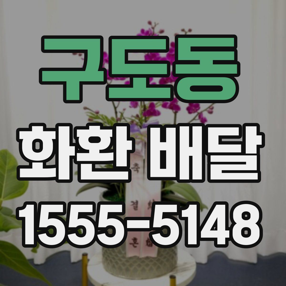 구도동 화환 배달