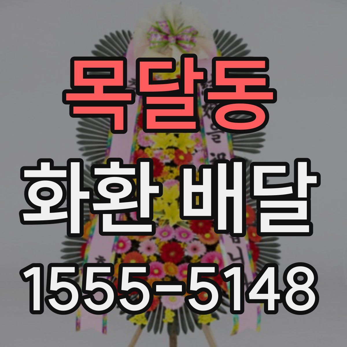 목달동 화환 배달