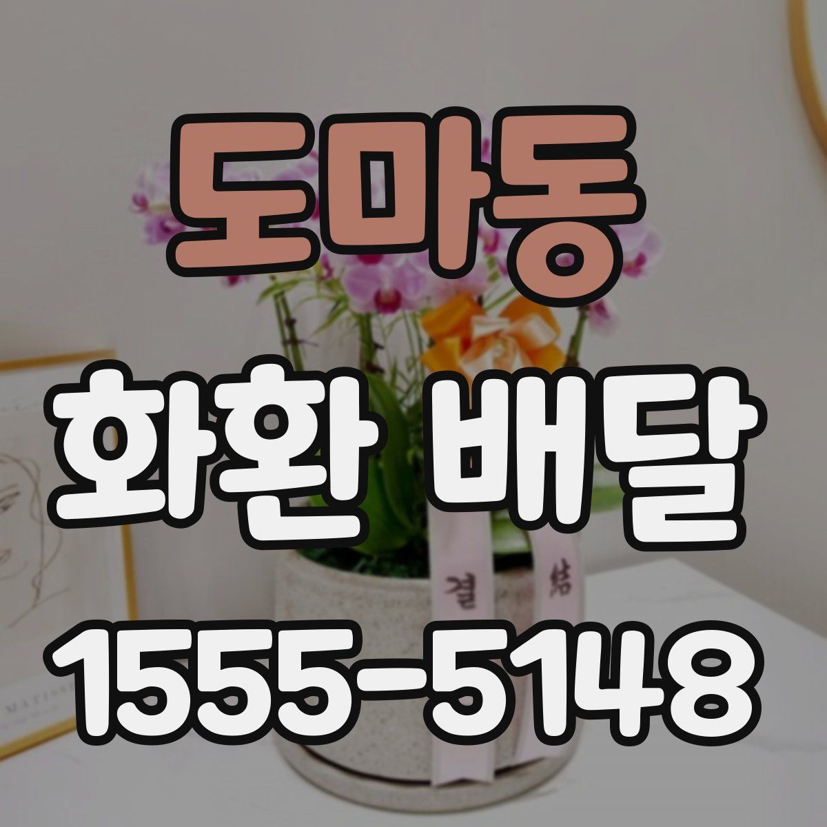 도마동 화환 배달